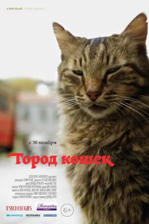 Постер турецкого фильма «Город кошек»