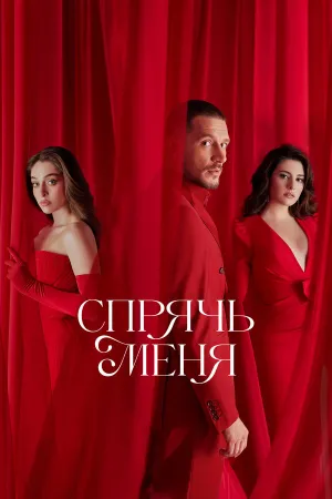 Постер турецкого сериала «Спрячь меня»
