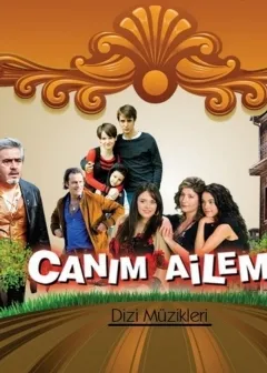 Постер турецкого сериала «Дорогая моя семья»